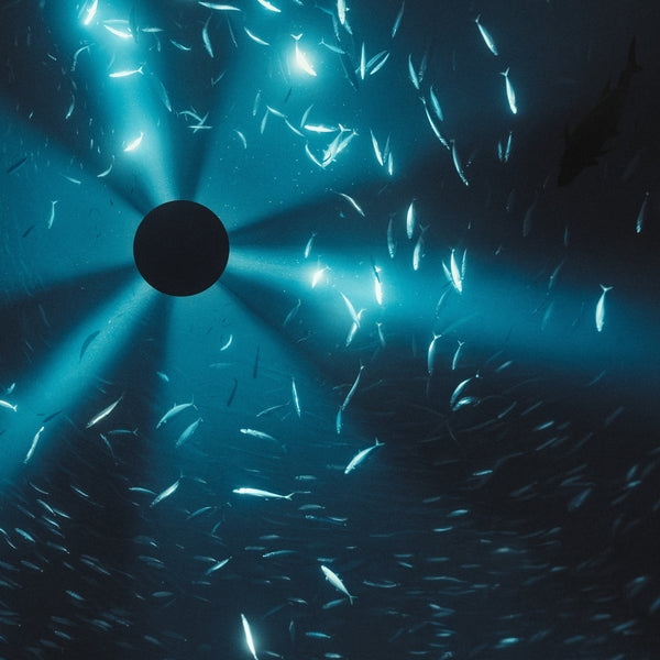 Midnight Zone (Original Soundtrack) [CD]