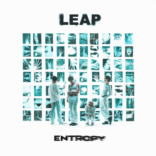 Entropy [White LP]