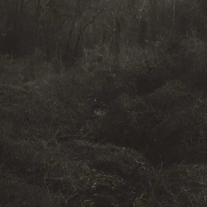Lesley Mok - transient [LP] cover artwork