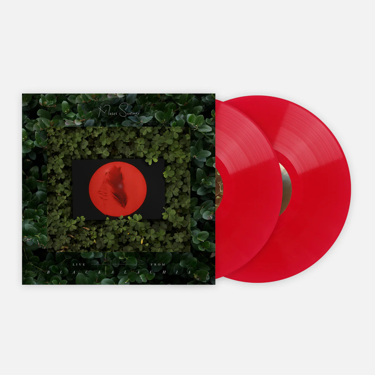 Live From Blackalachia [Opaque Red Vinyl LP]