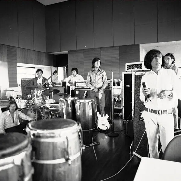 Los Texao - El Sonido Niebla De Los Texao [LP]