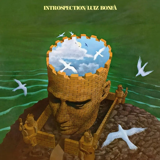 Introspection [LP]