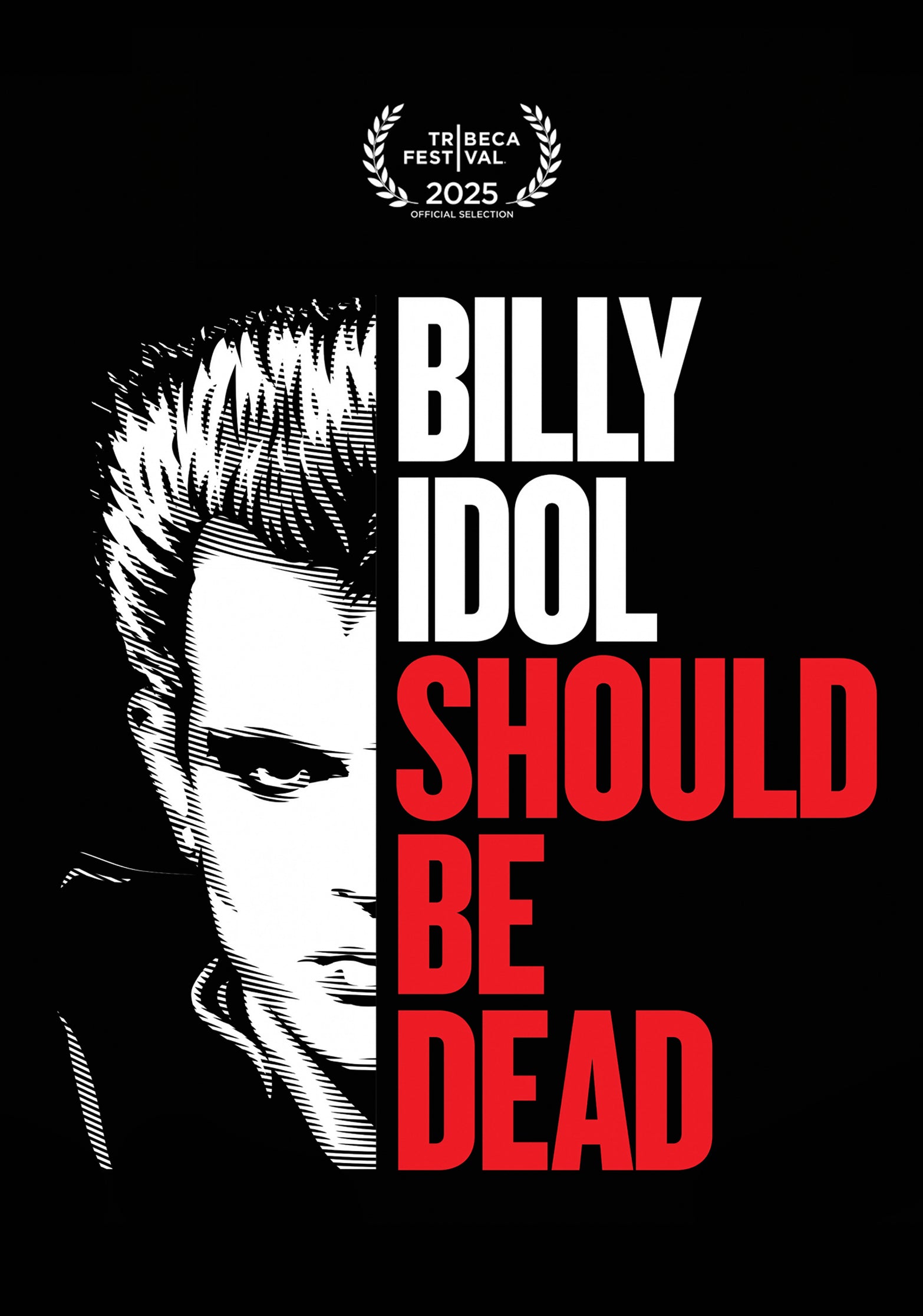 Billy Idol Should Be Dead DVD