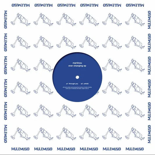 Ever Changing EP 12 inch