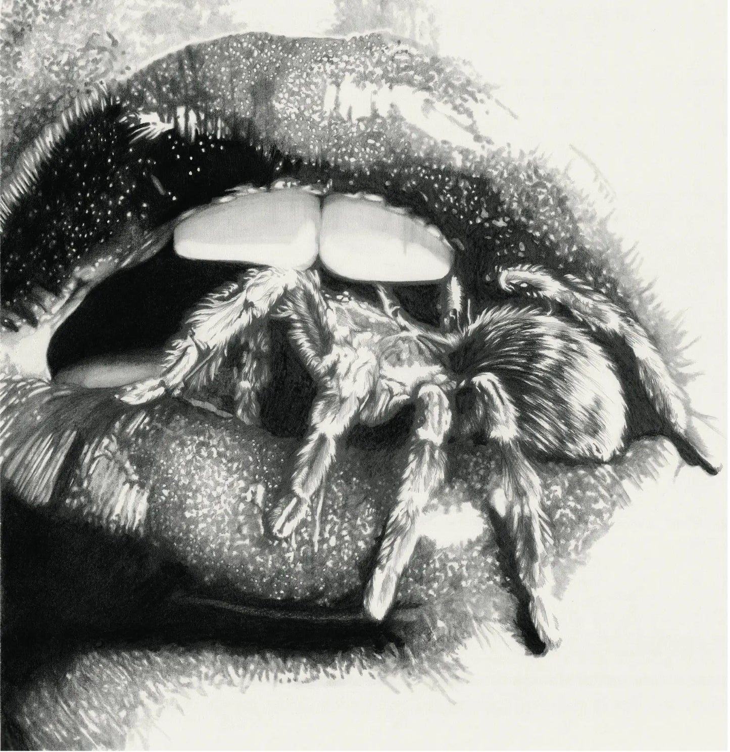 Masheena - Let The Spiders In [LP]