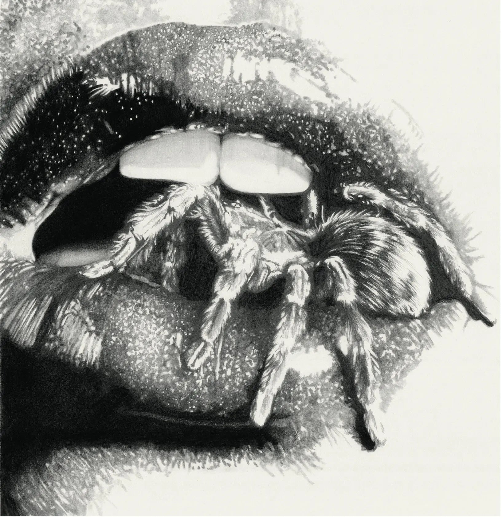 Masheena - Let The Spiders In [LP]