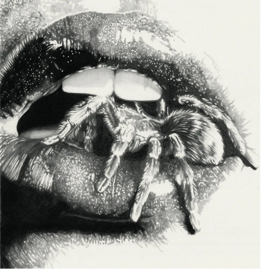 Masheena - Let The Spiders In [LP]