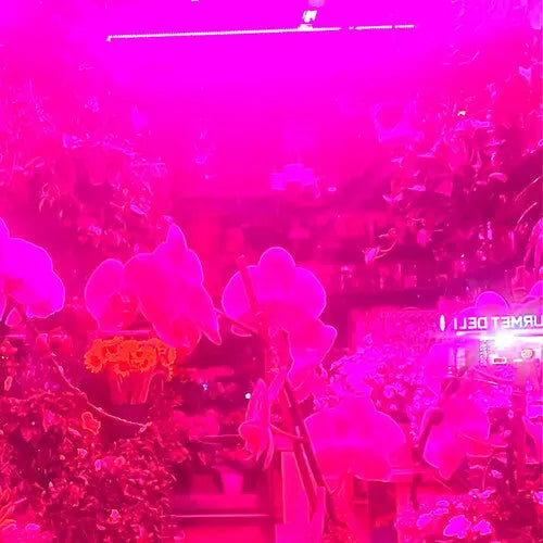Melaina Kol - Okay that’s a great idea because if I do that then [Cassette]