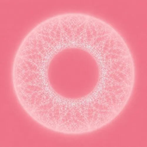 Merzbow & Pedro Vian - Bardo Thodol [LP]