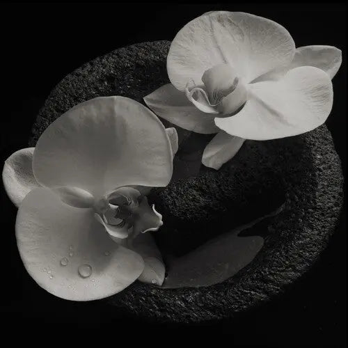 Mike Patton/Jean-Claude Vannier - Corpse Flower [Smoky Swirl Vinyl LP]