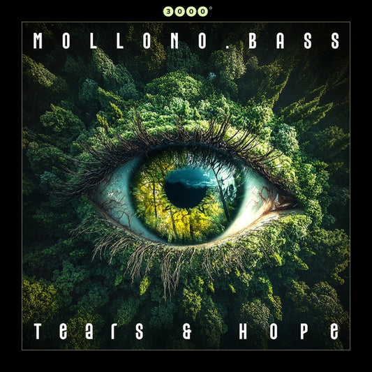 Tears & Hope [2x12"]
