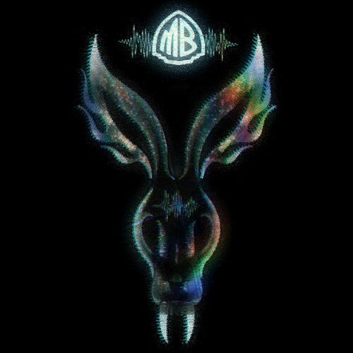 The Night They Came Home [Vinyl]