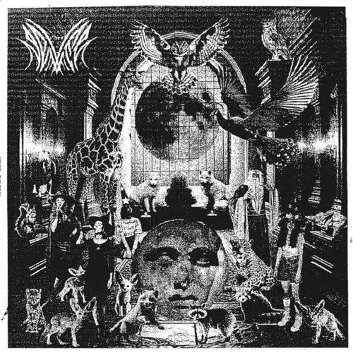 Never - The Gray [LP]