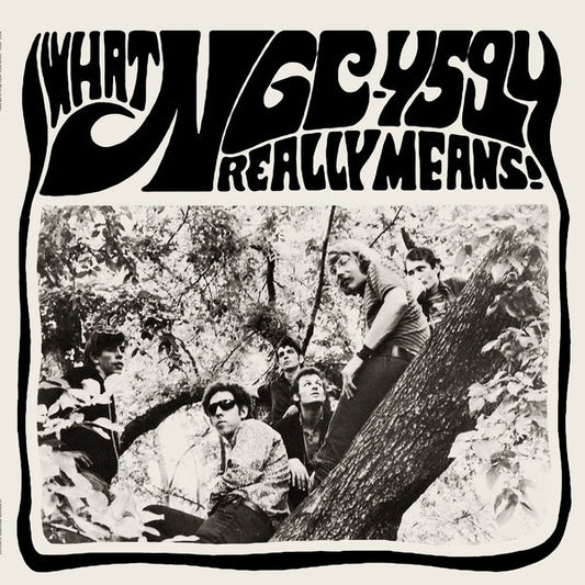 What NGC-4594 Really Means! [LP + 7" Vinyl]