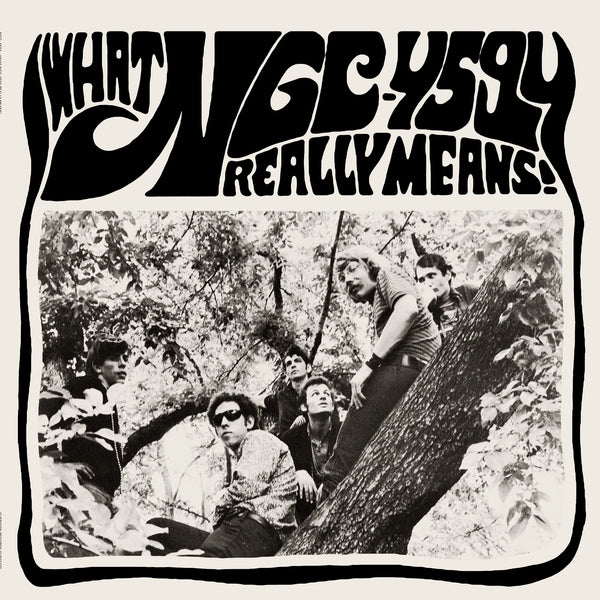 What NGC-4594 Really Means! [LP + 7" Vinyl]