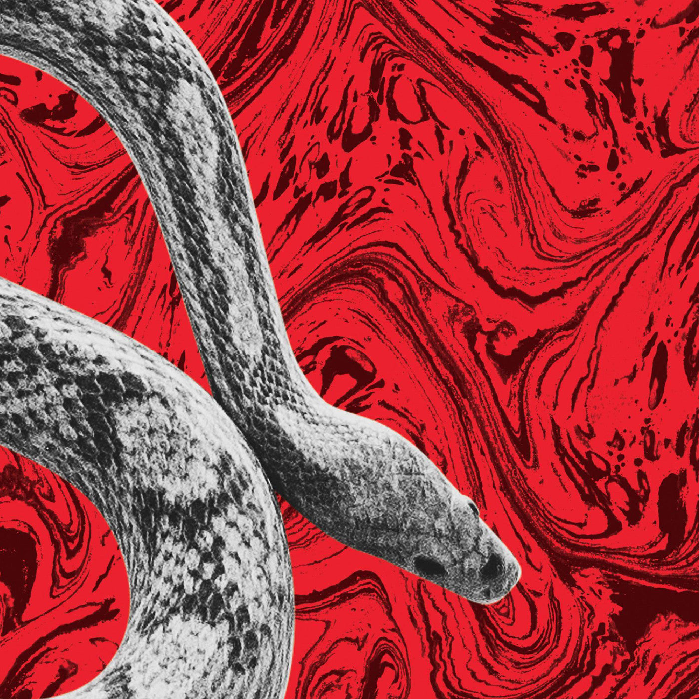 California/All Your Love [Vinyl]