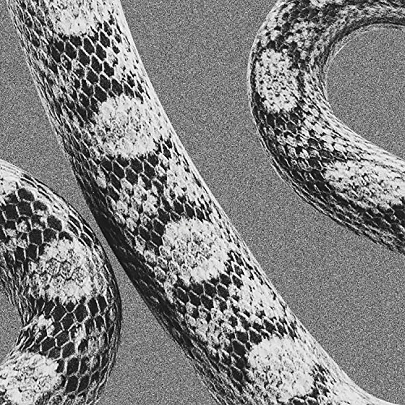 God Don't Talk To Strangers/Lady Of The Ocean [Vinyl]