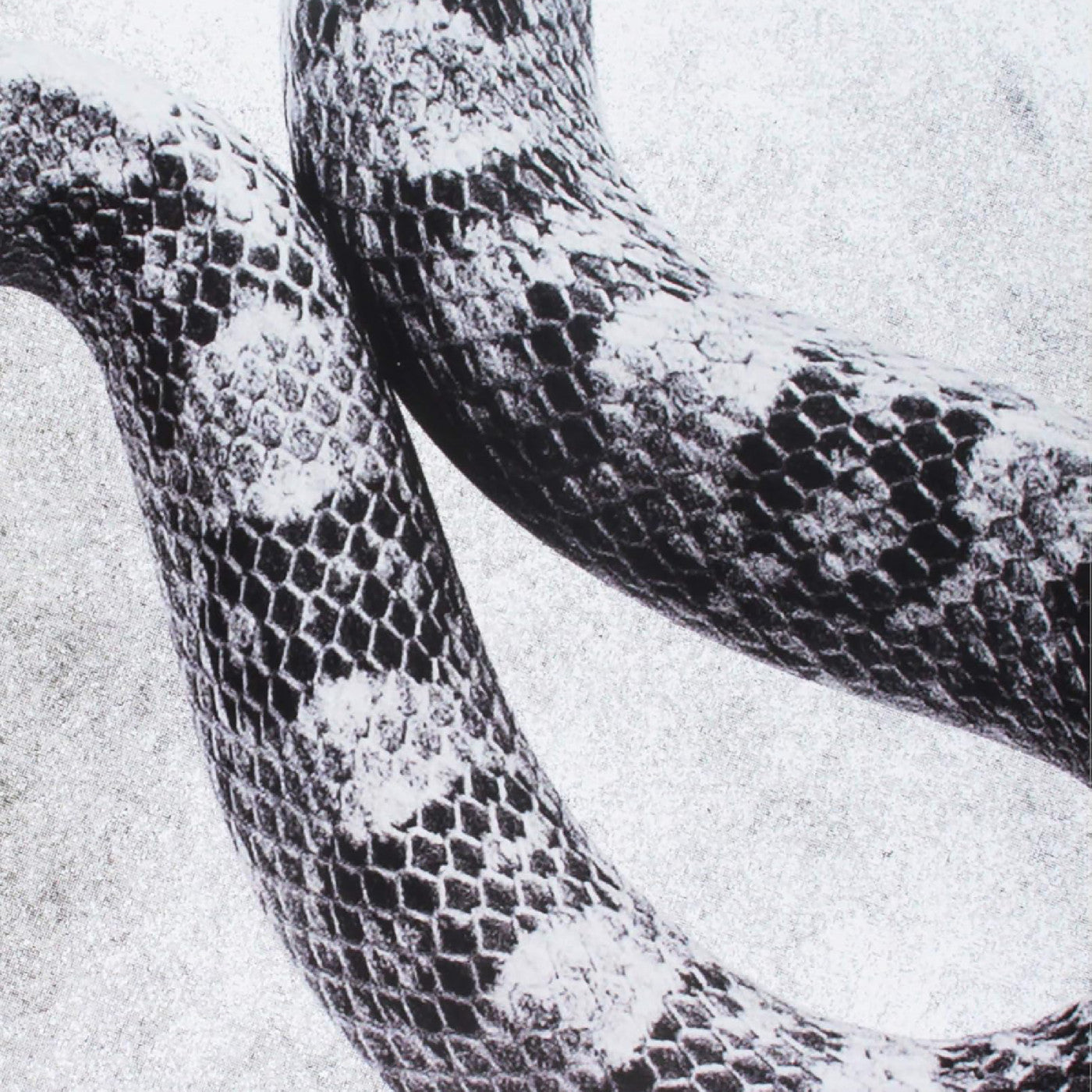 I'm Alright/Fine [Vinyl]