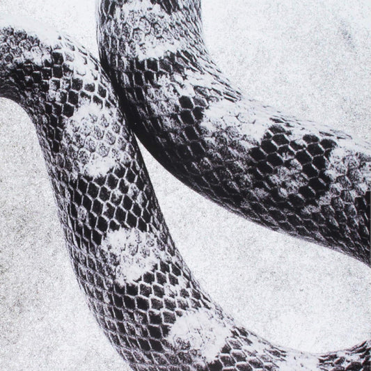 I'm Alright/Fine [Vinyl]