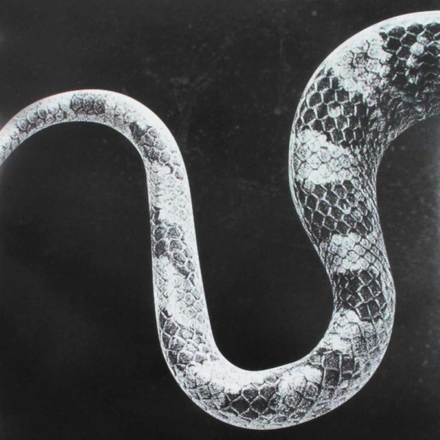 Sentimental Kids/Last Of The Leavers [Vinyl]