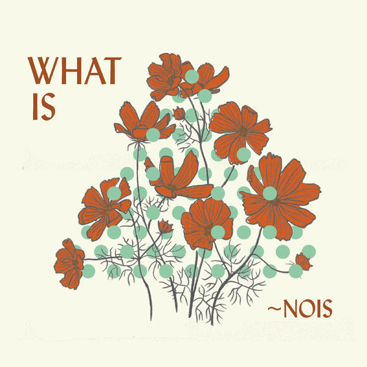 ~Nois - What Is ~Nois? [CD]
