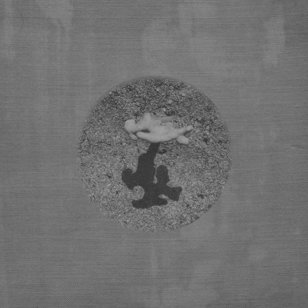 Warm Ground [Vinyl]