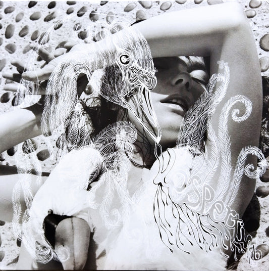 Björk – Vespertine [2LP Vinyl] — cover artwork