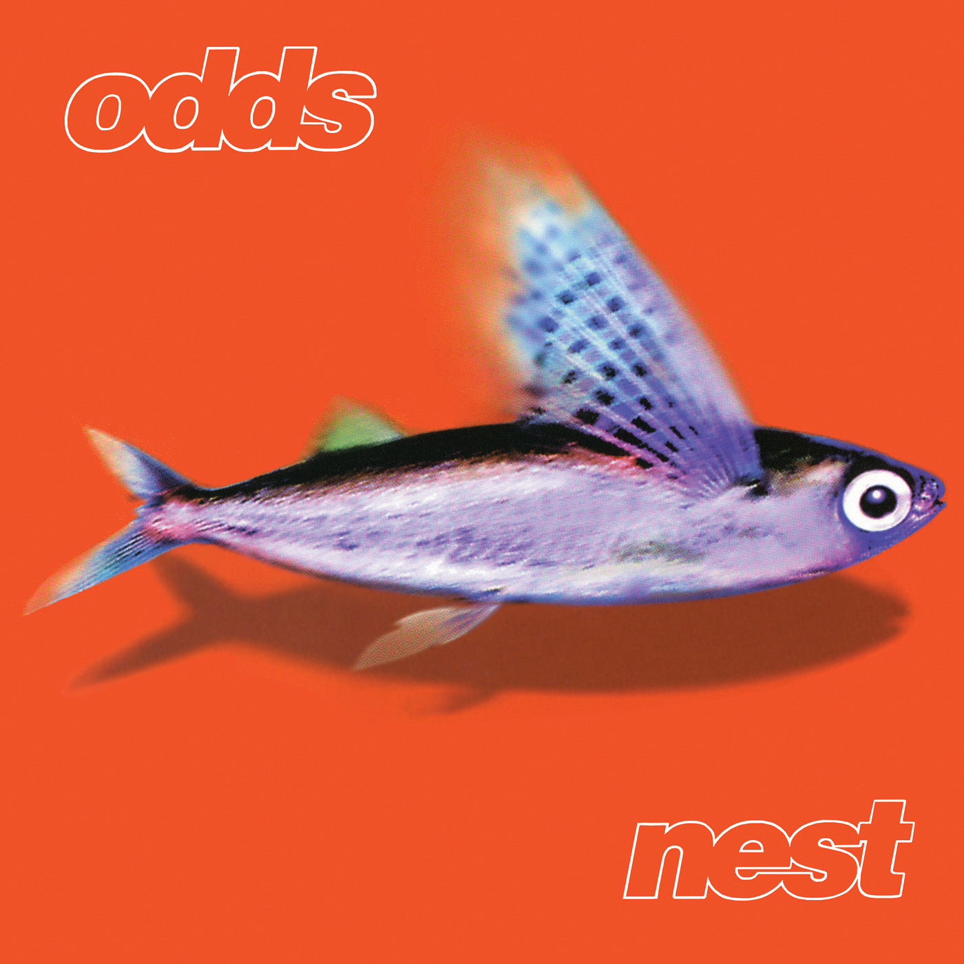 Nest [Vinyl]