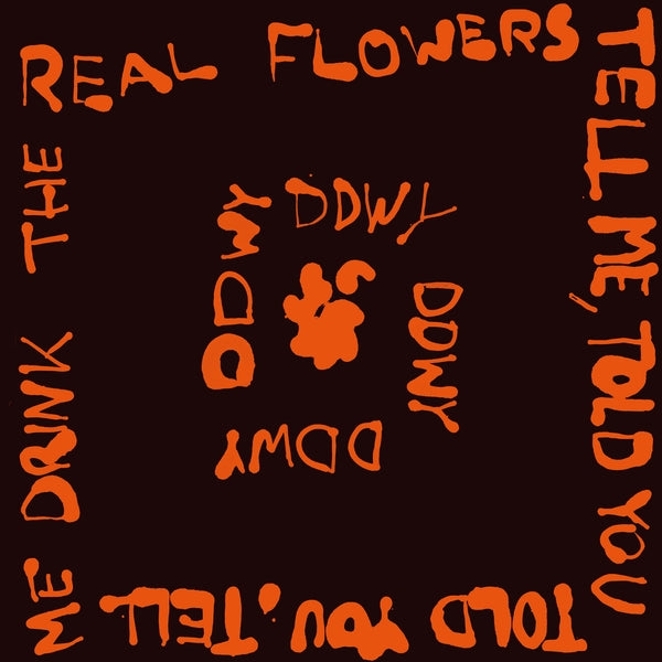 DDWY - Tell Me, Told You album cover