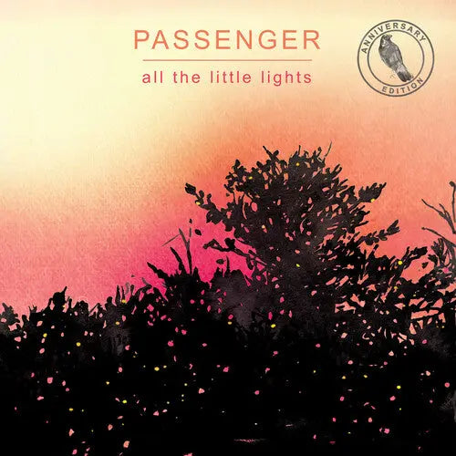Passenger - All The Little Lights [CD]
