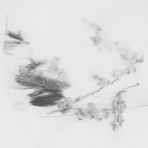 The Air Outside Feels Crazy Right Now [LP]