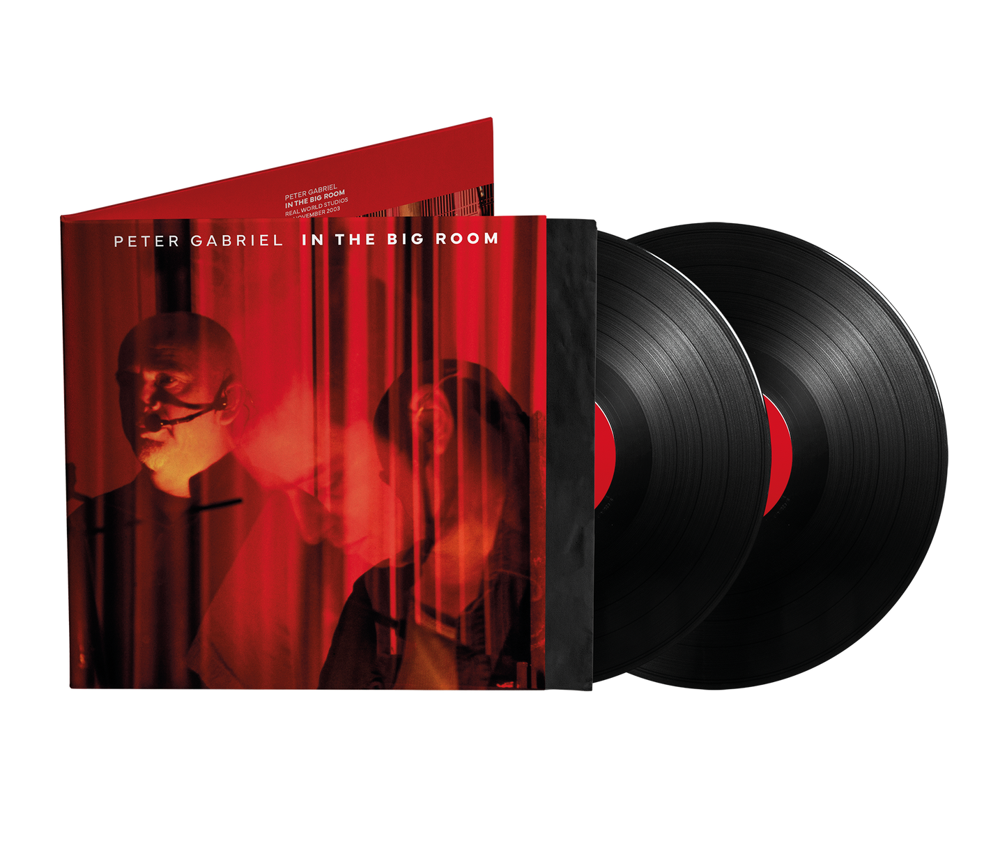 In The Big Room [Vinyl]