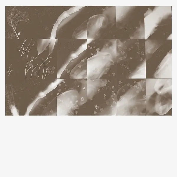 Peter Knight - For A Moment The Sky Knew My Name [CD]