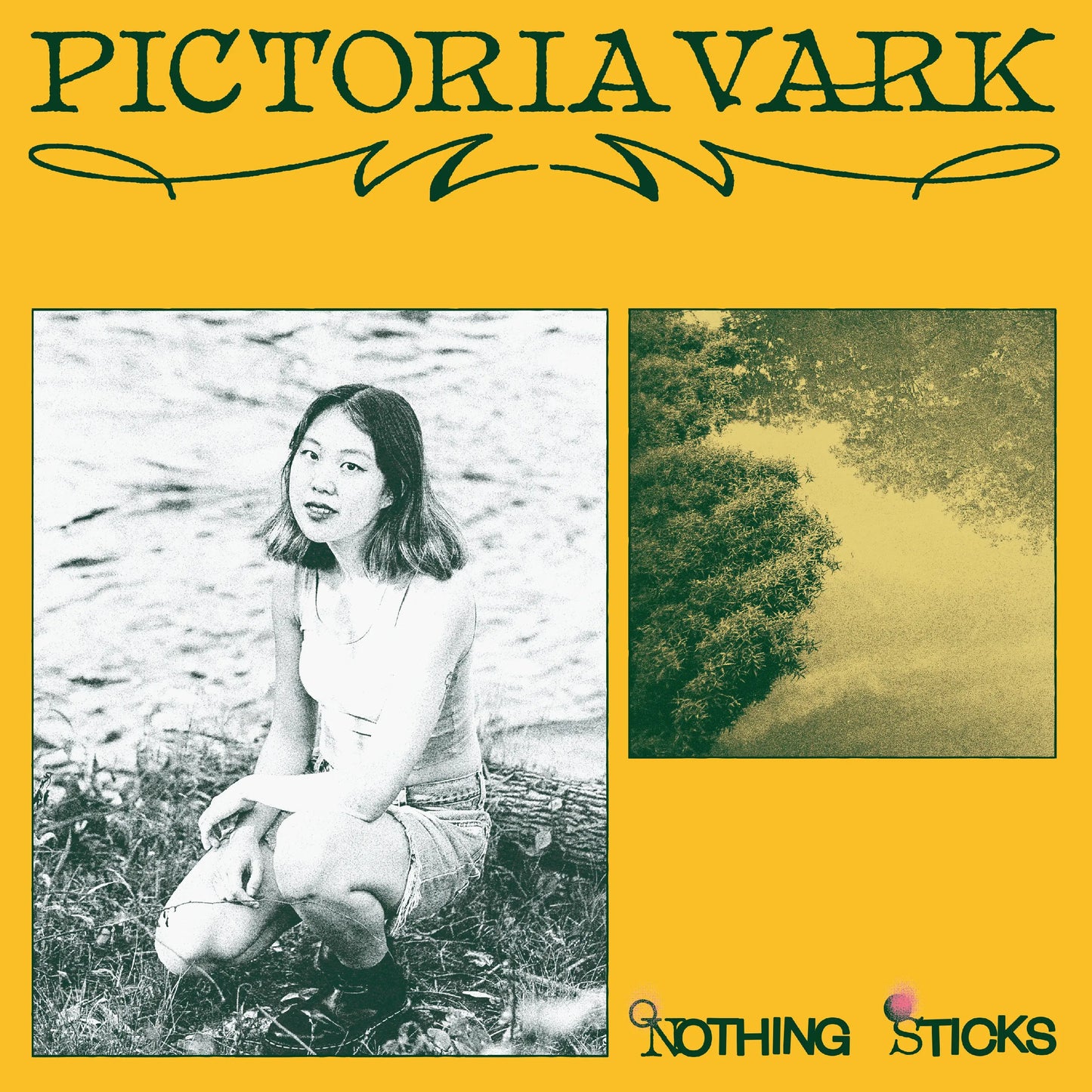 Pictoria Vark - Nothing Sticks [LP]