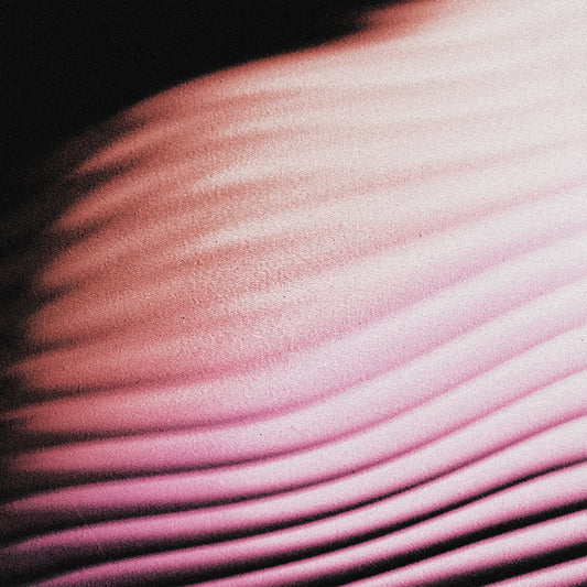 Everywhere Everything [CD]