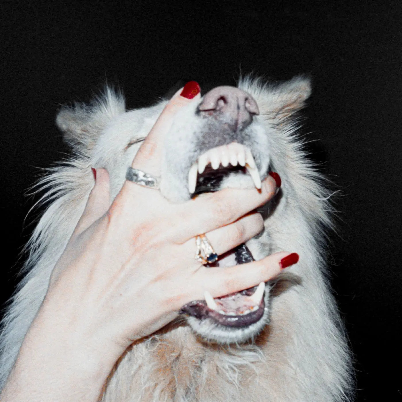 Hush LP