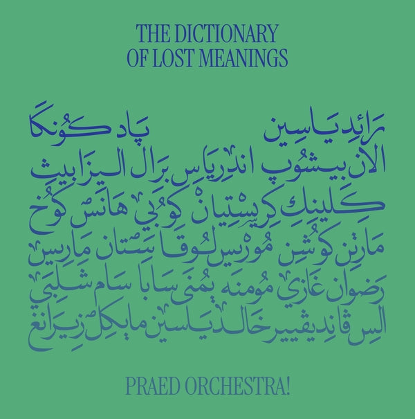 The Dictionary of Lost Meanings [2LP]