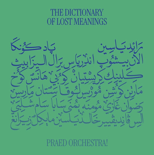 The Dictionary of Lost Meanings [2LP]