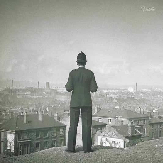 Everyone Wants To Dream [LP]