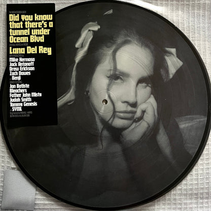 Lana Del Rey — Did you know that there’s a tunnel under Ocean Blvd [Picture Disc Vinyl] — cover artwork