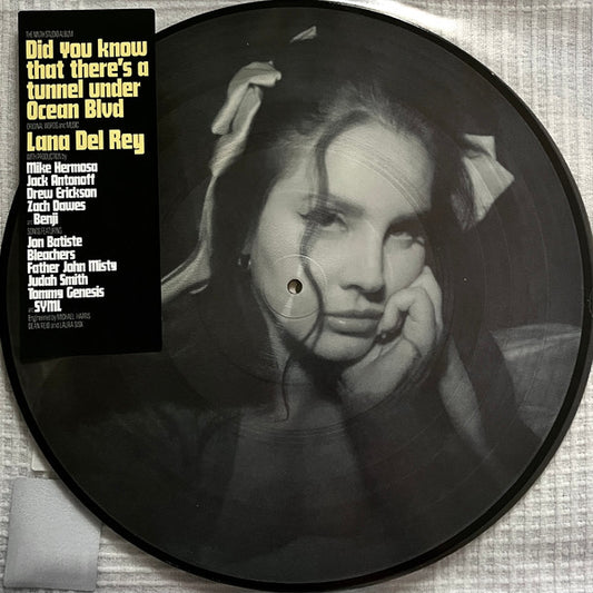 Did you know that there’s a tunnel under Ocean Blvd [Picture Disc Vinyl]