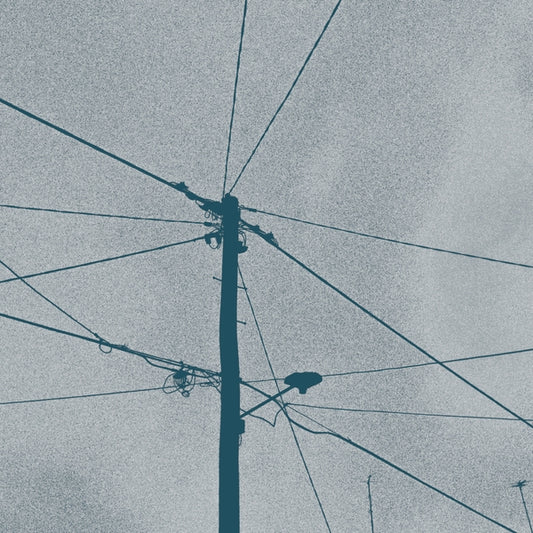Werner Dafeldecker & Eliad Wagner - Fray Field [CD]