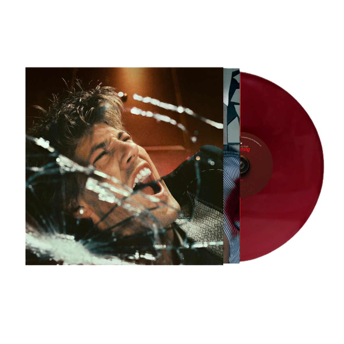 Ruel - Kicking My Feet & Screaming — album artwork