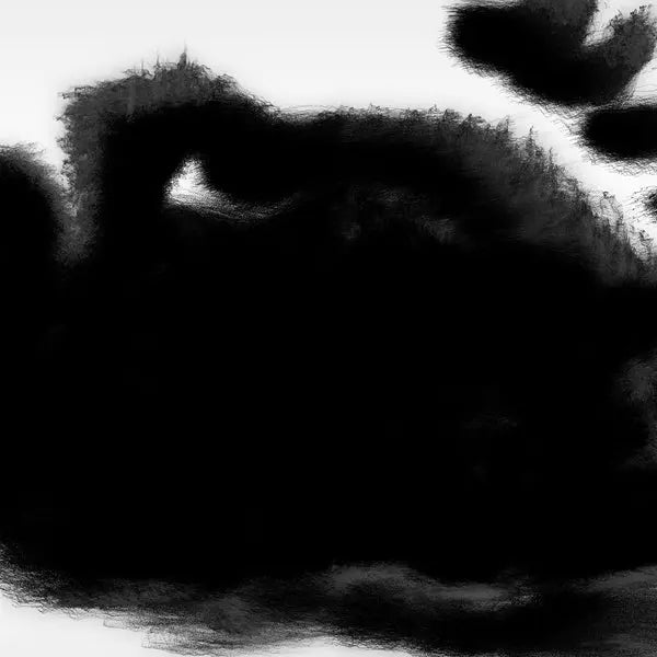 Rafael Anton Irisarri - Points of Inaccessibility [LP]