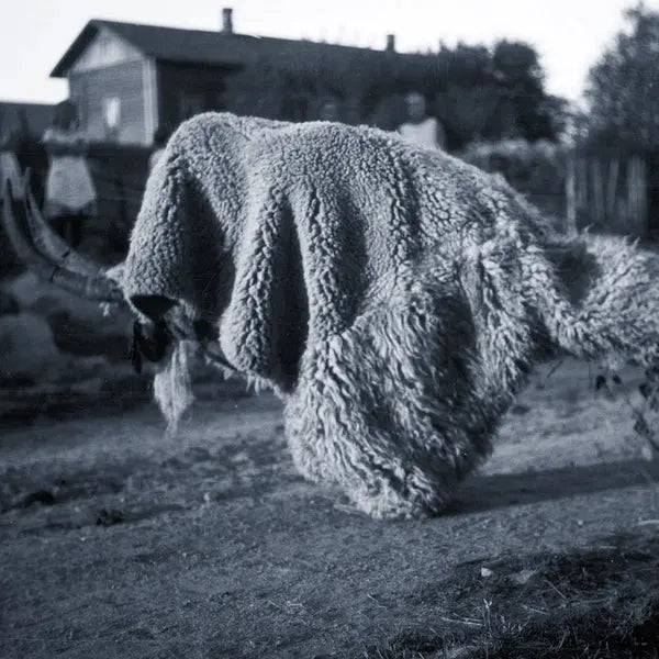 Random Gods - Pneuma [LP]