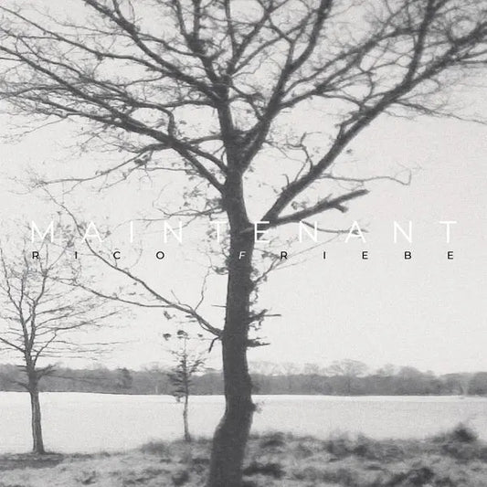Rico Friebe - Maintenant [LP]