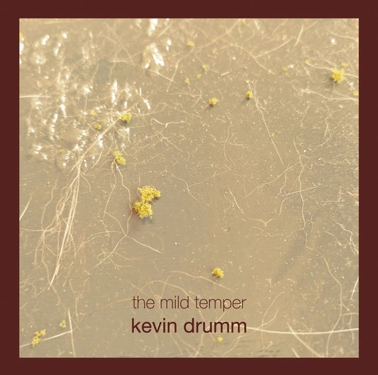 The MILD Temper [6CD Box Set]