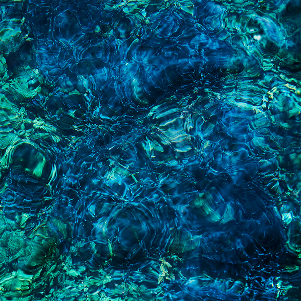 Luminescent Creatures [LP Import]