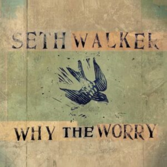 Why The Worry [LP]