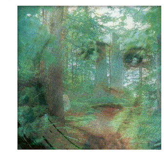 Songs From A Secret Garden [LP 180 Gram Import]